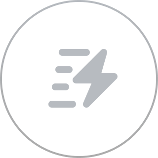 Lightning bolt icon on black circle background.